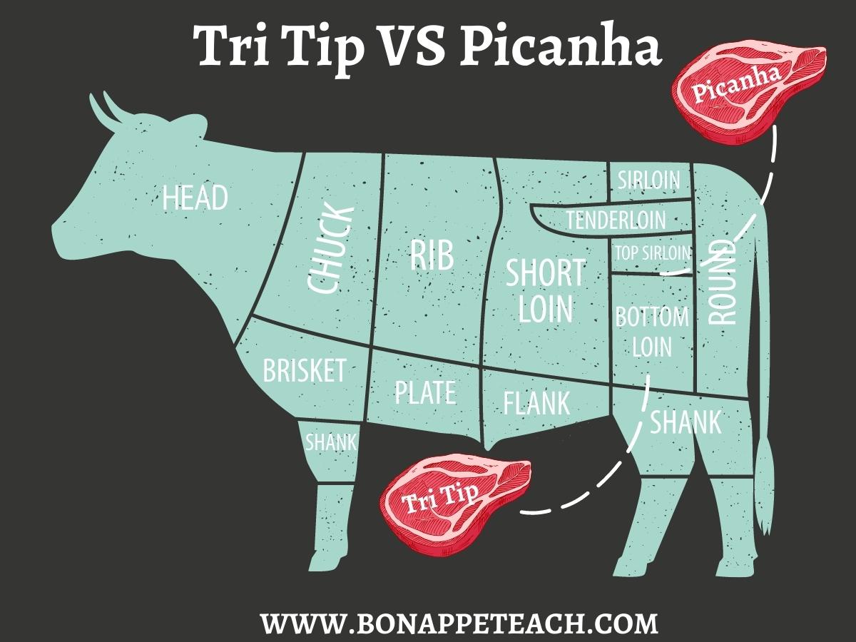 Cow graphic to show location of the tri tip vs the picanha